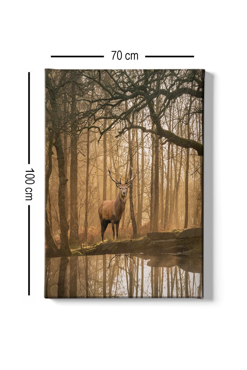 Lerretsbilde 70x100 cm - Majestetisk elg står ved en speilblank innsjø omgitt av tåkete skoger - Brun / Gull / Grønn - Interiør - Maleri & posters - Lerretsbilder