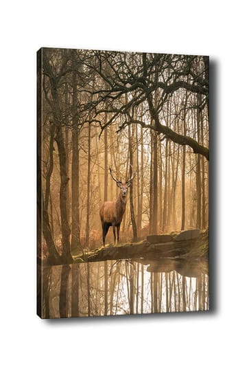 Lerretsbilde 70x100 cm - Majestetisk elg står ved en speilblank innsjø omgitt av tåkete skoger - Brun / Gull / Grønn - Interiør - Maleri & posters - Lerretsbilder