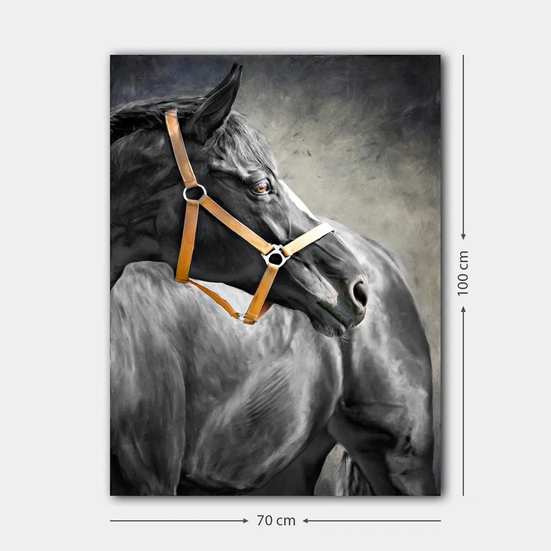 Lerretsbilde 70x100 cm - Majestetisk hest med brunt hodelag som fanger betrakterens oppmerksomhet - Svart / Brun / Grå - Interiør - Maleri & posters - Lerretsbilder