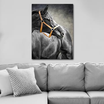 Lerretsbilde 70x100 cm - Majestetisk hest med brunt hodelag som fanger betrakterens oppmerksomhet - Svart / Brun / Grå - Interiør - Maleri & posters - Lerretsbilder