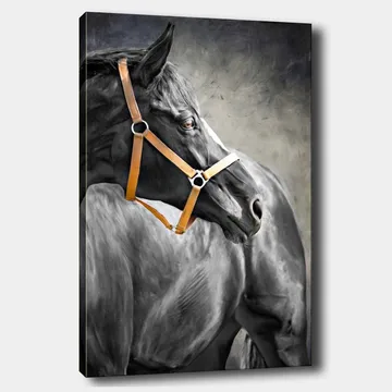 Lerretsbilde 70x100 cm - Majestetisk hest med brunt hodelag som fanger betrakterens oppmerksomhet - Svart / Brun / Grå - Interiør - Maleri & posters - Lerretsbilder