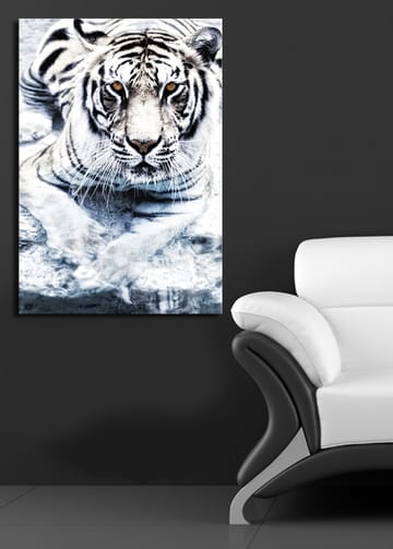 Lerretsbilde 70x100 cm - Majestetisk hvit tiger som ligger i vannet - Hvit / Svart / Grå - Interiør - Maleri & posters - Lerretsbilder