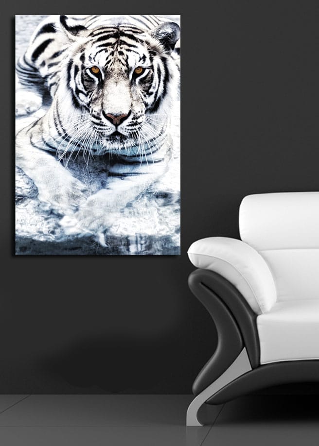 Lerretsbilde 70x100 cm - Majestetisk hvit tiger som ligger i vannet - Hvit / Svart / Grå - Interiør - Maleri & posters - Lerretsbilder