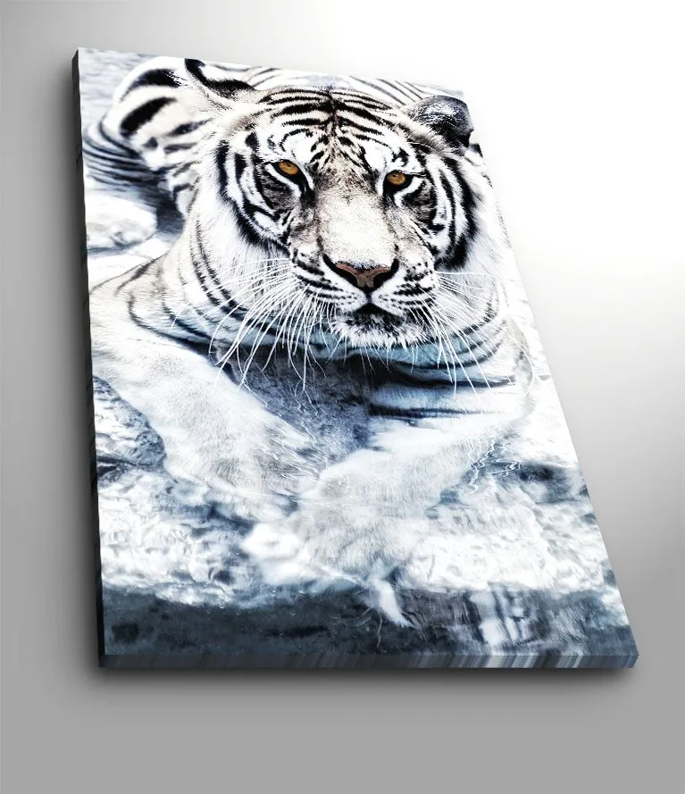 Lerretsbilde 70x100 cm - Majestetisk hvit tiger som ligger i vannet, Hvit / Svart / Grå
