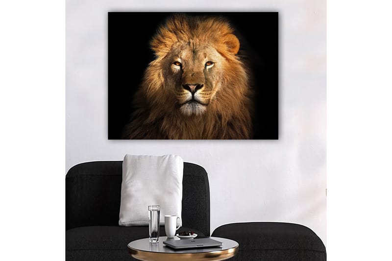Lerretsbilde 70x100 cm - Majestetisk løvehode med intenst blikk, Gull / Brun / Svart