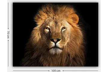 Lerretsbilde 70x100 cm - Majestetisk løvehode med intenst blikk - Gull / Brun / Svart - Interiør - Maleri & posters - Lerretsbilder