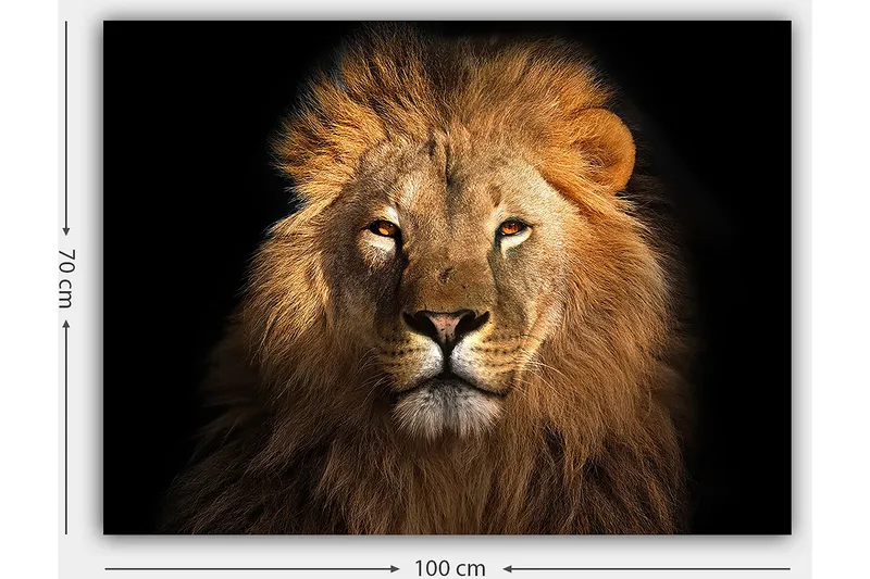 Lerretsbilde 70x100 cm - Majestetisk løvehode med intenst blikk - Gull / Brun / Svart - Interiør - Maleri & posters - Lerretsbilder