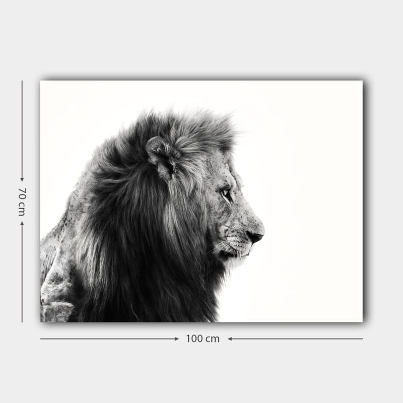 Lerretsbilde 70x100 cm - Majestetisk løveprofil i svart-hvitt som utstråler styrke og eleganse - Svart / Hvit - Interiør - Maleri & posters - Lerretsbilder