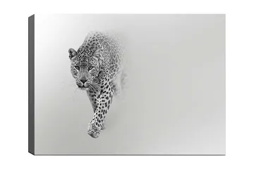 Lerretsbilde 70x100 cm - Majestetisk leopard som beveger seg fremover i en stilig og minimalistisk komposisjon - Svart / Grå - Interiør - Maleri & posters - Lerretsbilder