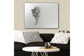 Lerretsbilde 70x100 cm - Majestetisk leopard som beveger seg fremover i en stilig og minimalistisk komposisjon - Svart / Grå - Interiør - Maleri & posters - Lerretsbilder