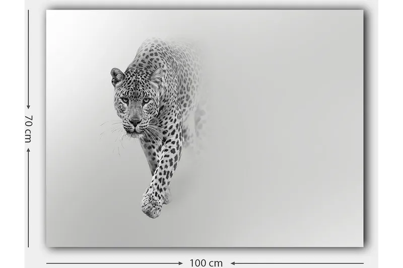Lerretsbilde 70x100 cm - Majestetisk leopard som beveger seg fremover i en stilig og minimalistisk komposisjon - Svart / Grå - Interiør - Maleri & posters - Lerretsbilder
