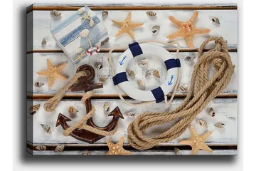 Lerretsbilde 70x100 cm - Maritimt stilleben med skjell, stjerneformet sjøstjerne og livbøye - Beige / Blå / Brun - Interiør - Maleri & posters - Lerretsbilder