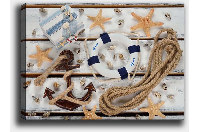 Lerretsbilde 70x100 cm - Maritimt stilleben med skjell, stjerneformet sjøstjerne og livbøye - Beige / Blå / Brun - Interiør - Maleri & posters - Lerretsbilder