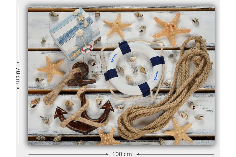 Lerretsbilde 70x100 cm - Maritimt stilleben med skjell, stjerneformet sjøstjerne og livbøye - Beige / Blå / Brun - Interiør - Maleri & posters - Lerretsbilder