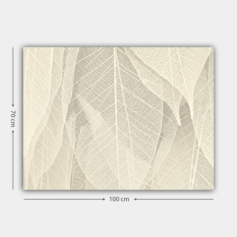 Lerretsbilde 70x100 cm - Myk og subtil komposisjon av gjennomskinnelige blader som skaper en følelse av ro og harmoni - Lys beige / Hvit - Interiør - Maleri & posters - Lerretsbilder