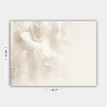 Lerretsbilde 70x100 cm - Myke blomster i subtile hvite nyanser - Hvit / Lys beige - Interiør - Maleri & posters - Lerretsbilder
