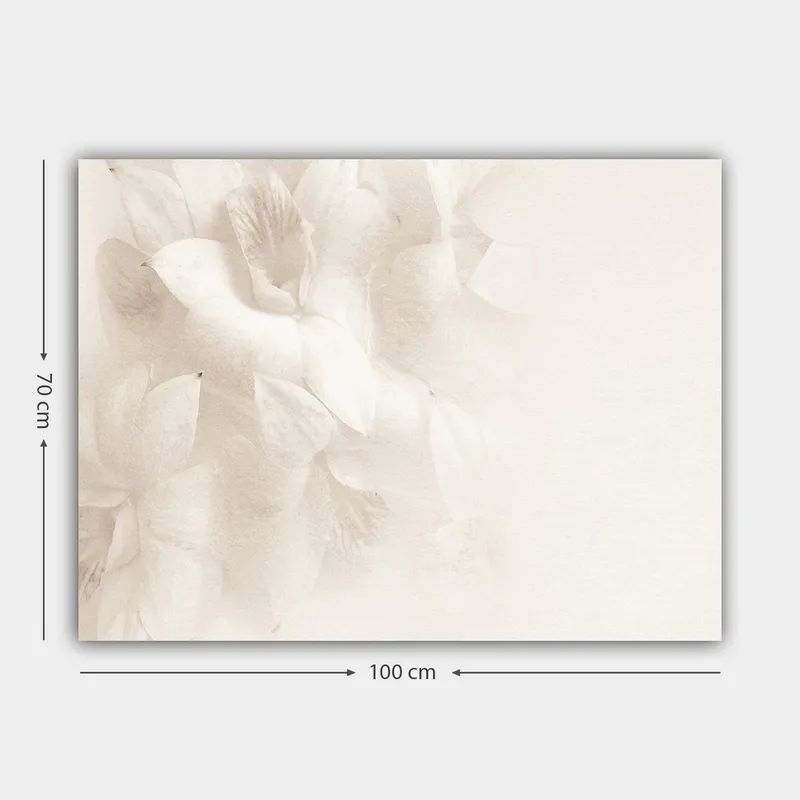 Lerretsbilde 70x100 cm - Myke blomster i subtile hvite nyanser - Hvit / Lys beige - Interiør - Maleri & posters - Lerretsbilder