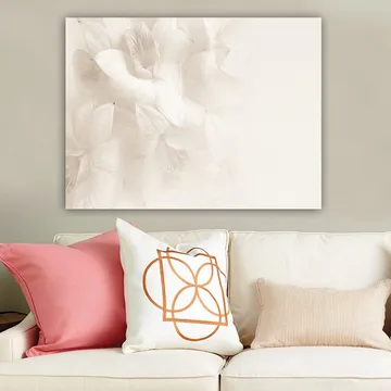 Lerretsbilde 70x100 cm - Myke blomster i subtile hvite nyanser - Hvit / Lys beige - Interiør - Maleri & posters - Lerretsbilder