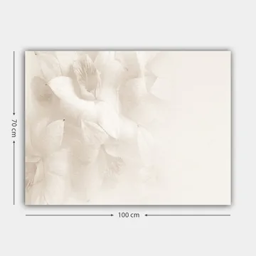 Lerretsbilde 70x100 cm - Myke blomster i subtile hvite nyanser - Hvit / Lys beige - Interiør - Maleri & posters - Lerretsbilder