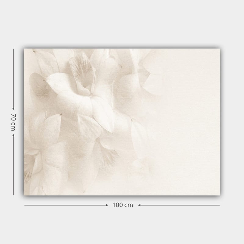 Lerretsbilde 70x100 cm - Myke blomster i subtile hvite nyanser - Hvit / Lys beige - Interiør - Maleri & posters - Lerretsbilder
