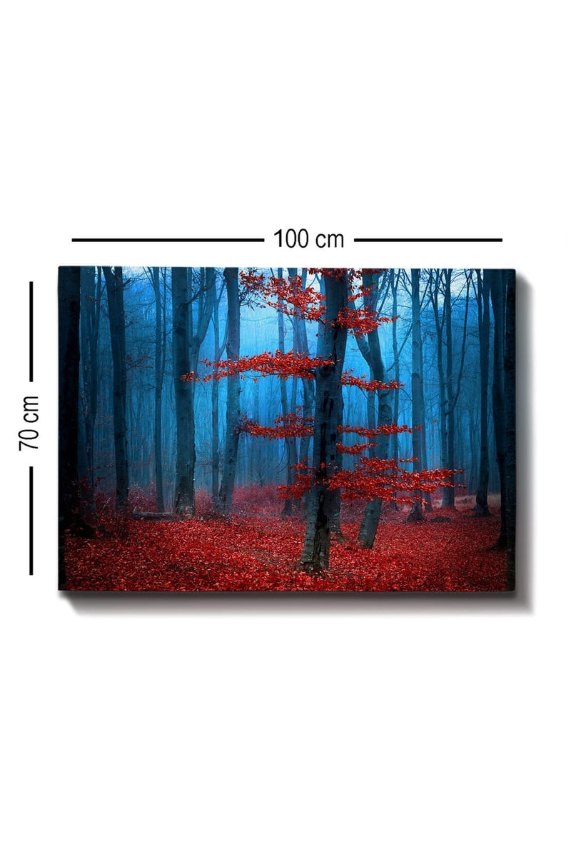 Lerretsbilde 70x100 cm - Mystisk skog med et ensomt rødt tre i tåkete omgivelser - Rød / Blå - Interiør - Maleri & posters - Lerretsbilder