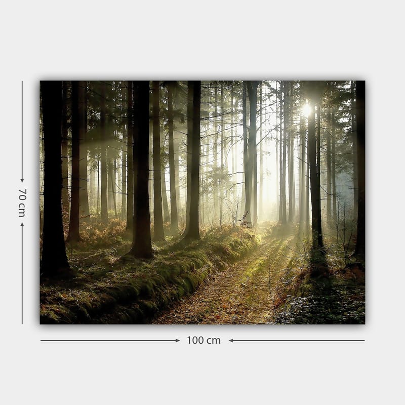 Lerretsbilde 70x100 cm - Mystisk skog med solstråler som bryter gjennom trærne - Mørkegrønn / Lysegrønn / Brun - Interiør - Maleri & posters - Lerretsbilder