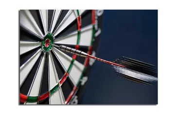 Lerretsbilde 70x100 cm - Nærbilde av en dartskive med en pil som treffer midtpunktet - Grønn / Rød / Svart - Interiør - Maleri & posters - Lerretsbilder