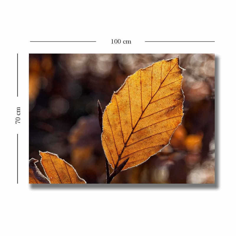 Lerretsbilde 70x100 cm - Nærbilde av et gyllent høstblad med detaljerte årer - Gyllenoransje / Brun - Interiør - Maleri & posters - Lerretsbilder