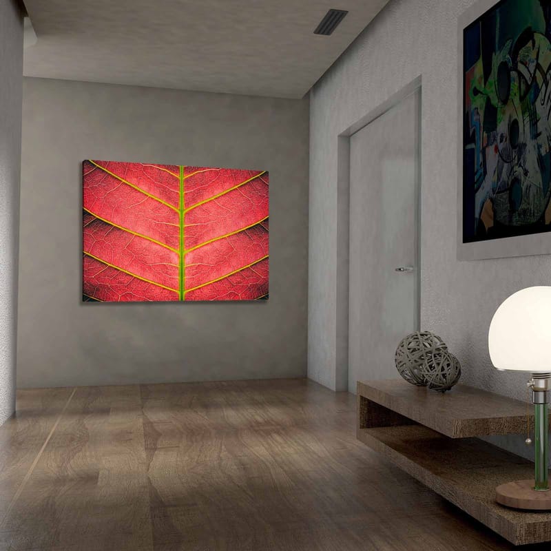 Lerretsbilde 70x100 cm - Nærbilde av et rødlig blad med detaljerte årer - Rød / Grønn - Interiør - Maleri & posters - Lerretsbilder