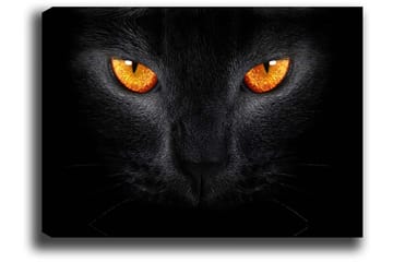 Lerretsbilde 70x100 cm - Nærbilde av et svart kattehode med intense øyne - Svart / Oransje - Interiør - Maleri & posters - Lerretsbilder