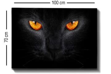 Lerretsbilde 70x100 cm - Nærbilde av et svart kattehode med intense øyne - Svart / Oransje - Interiør - Maleri & posters - Lerretsbilder