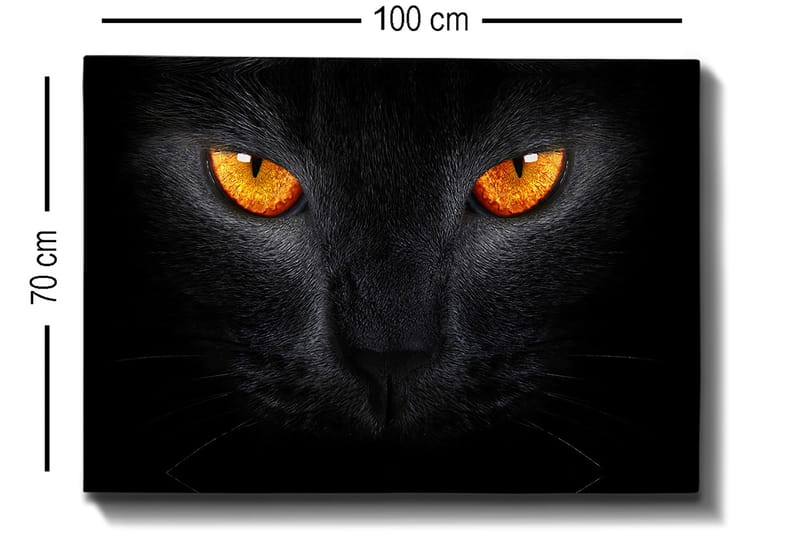 Lerretsbilde 70x100 cm - Nærbilde av et svart kattehode med intense øyne - Svart / Oransje - Interiør - Maleri & posters - Lerretsbilder