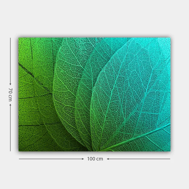 Lerretsbilde 70x100 cm - Nærbilde av grønne og turkise blader med detaljerte årer - Grønn / Turkis - Interiør - Maleri & posters - Lerretsbilder