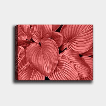 Lerretsbilde 70x100 cm - Nærbilde av vakre, røde blader med klare årer - Rød / Svart - Interiør - Maleri & posters - Lerretsbilder