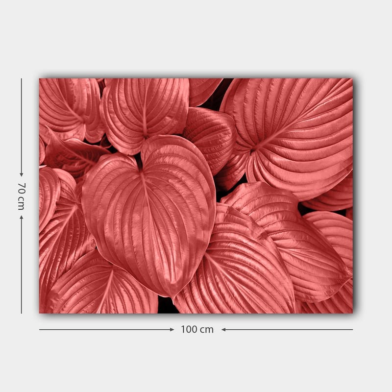 Lerretsbilde 70x100 cm - Nærbilde av vakre, røde blader med klare årer - Rød / Svart - Interiør - Maleri & posters - Lerretsbilder