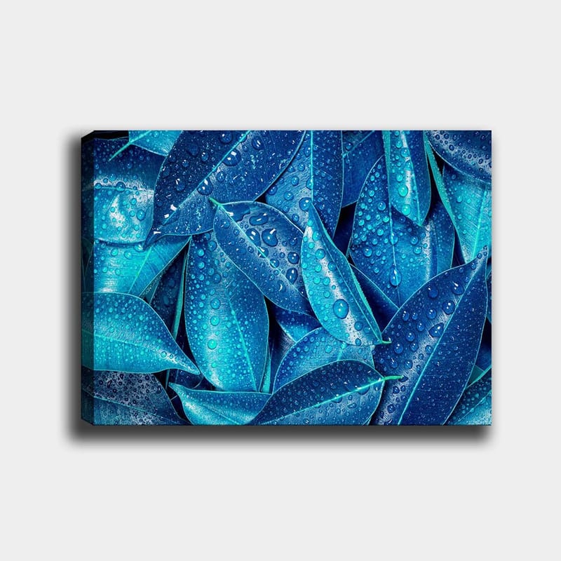 Lerretsbilde 70x100 cm - Nærbilde av vanndråper på grønne blader som skaper en frisk og livlig følelse, Blå / Turkis