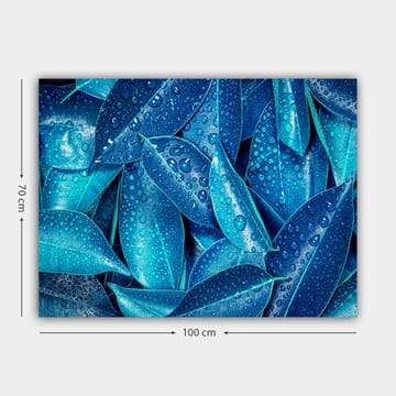 Lerretsbilde 70x100 cm - Nærbilde av vanndråper på grønne blader som skaper en frisk og livlig følelse - Blå / Turkis - Interiør - Maleri & posters - Lerretsbilder