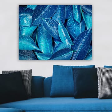 Lerretsbilde 70x100 cm - Nærbilde av vanndråper på grønne blader som skaper en frisk og livlig følelse - Blå / Turkis - Interiør - Maleri & posters - Lerretsbilder