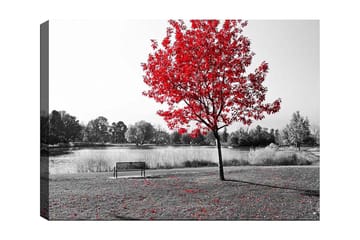 Lerretsbilde 70x100 cm - Rødt løvfellende tre i et svart-hvitt parkmiljø ved en innsjø - Rød / Svart / Grå - Interiør - Maleri & posters - Lerretsbilder