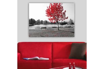 Lerretsbilde 70x100 cm - Rødt løvfellende tre i et svart-hvitt parkmiljø ved en innsjø - Rød / Svart / Grå - Interiør - Maleri & posters - Lerretsbilder