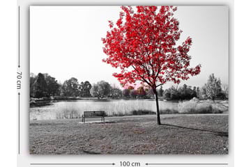 Lerretsbilde 70x100 cm - Rødt løvfellende tre i et svart-hvitt parkmiljø ved en innsjø - Rød / Svart / Grå - Interiør - Maleri & posters - Lerretsbilder