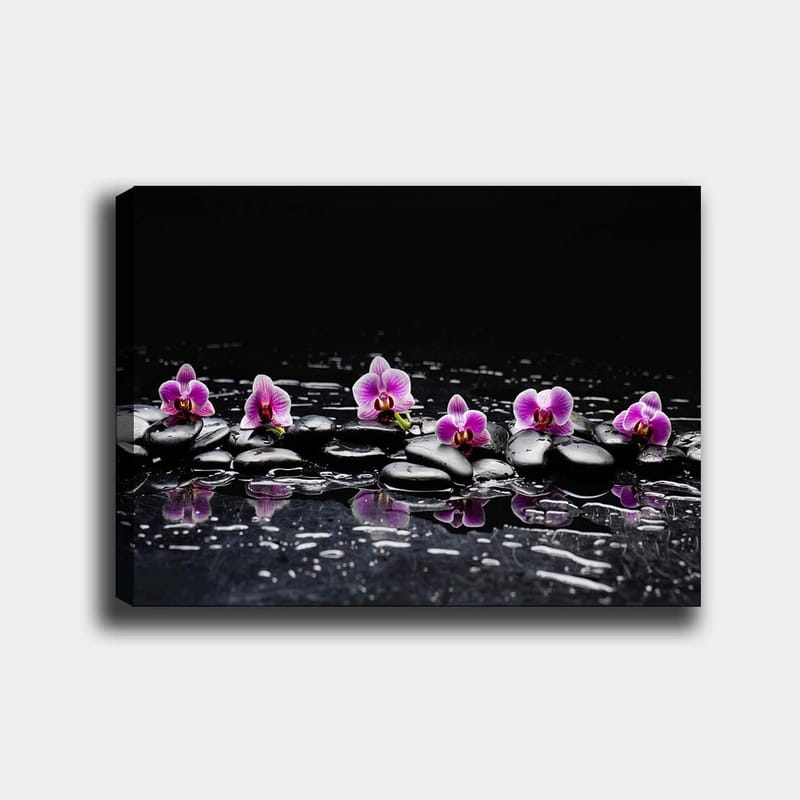 Lerretsbilde 70x100 cm - Rad med lilla orkideer som hviler på svarte steiner med refleksjoner i vann, Lilla / Svart