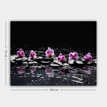 Lerretsbilde 70x100 cm - Rad med lilla orkideer som hviler på svarte steiner med refleksjoner i vann - Lilla / Svart - Interiør - Maleri & posters - Lerretsbilder