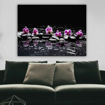 Lerretsbilde 70x100 cm - Rad med lilla orkideer som hviler på svarte steiner med refleksjoner i vann - Lilla / Svart - Interiør - Maleri & posters - Lerretsbilder