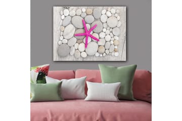 Lerretsbilde 70x100 cm - Rosa sjøstjerne omgitt av grå og hvite steiner - Grå / Hvit / Rosa - Interiør - Maleri & posters - Lerretsbilder