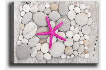 Lerretsbilde 70x100 cm - Rosa sjøstjerne omgitt av grå og hvite steiner - Grå / Hvit / Rosa - Interiør - Maleri & posters - Lerretsbilder