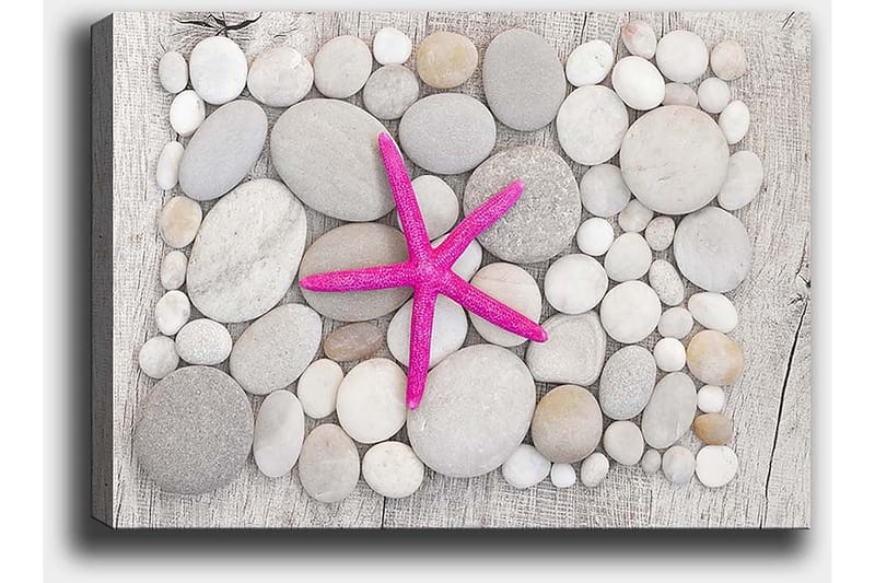 Lerretsbilde 70x100 cm - Rosa sjøstjerne omgitt av grå og hvite steiner - Grå / Hvit / Rosa - Interiør - Maleri & posters - Lerretsbilder