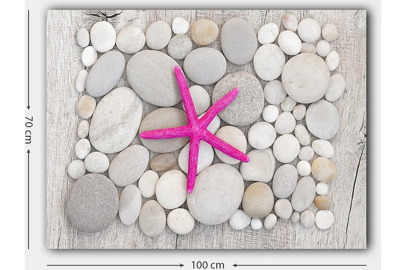 Lerretsbilde 70x100 cm - Rosa sjøstjerne omgitt av grå og hvite steiner - Grå / Hvit / Rosa - Interiør - Maleri & posters - Lerretsbilder
