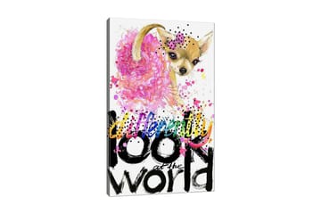 Lerretsbilde 70x100 cm - Søt chihuahua med rosa blomst og fargerike detaljer - Rosa / Svart / Beige - Interiør - Maleri & posters - Lerretsbilder