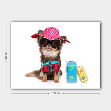 Lerretsbilde 70x100 cm - Søt chihuahua med solhatt og solbriller, med et kamera hengende rundt halsen - Rosa / Blå / Rød - Interiør - Maleri & posters - Lerretsbilder